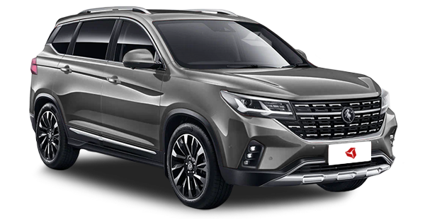 forthing t5